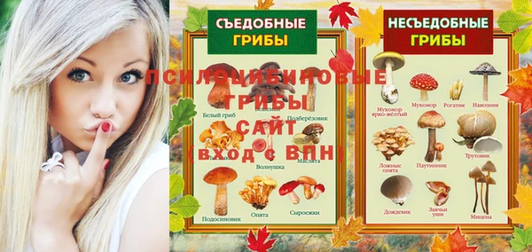 скорость Алексин