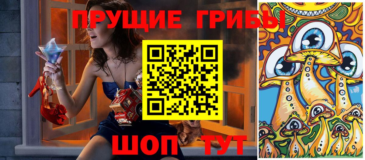 Галлюциногенные грибы мицелий  Вход с VPN  Галлюциногенные грибы Psilocybe  Беслан 