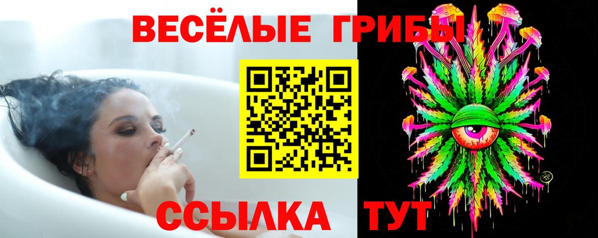 Псилоцибиновые грибы мицелий Беслан